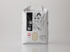 【岐阜】龍の瞳　5kg 