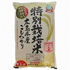 【広島】特別栽培米コシヒカリ　5kg ☆
