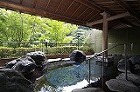 大滝ホテル　日帰り入浴　2名様　