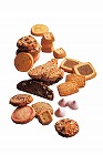 Ｆｏｒｅｃｉｐｅ　ちいさな森のクッキーＳ　☆