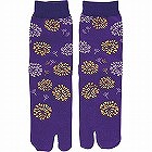 カシンソックス　タンポポ