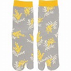 カシンソックス　ミモザ