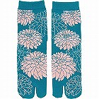 カシンソックス　納戸ダリア