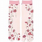 カシンソックス　コスモス