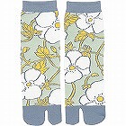 カシンソックス　秋明菊