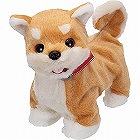 部屋ともワンちゃん柴犬