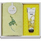 ミアミモザ　今治ハンドタオル＆ハンドクリーム５０ｇ　クリーム