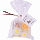 プチリィリィソープ　マーガレット