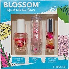 ブロッサム　ギフトセット