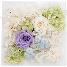 プリザーブドウォールフラワー（スクエア）　パープル