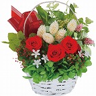 プリザーブドフラワー籠入り　レッド