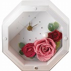 ＭＯＬＹ　アンティークホワイト（プリザーブドフラワー）　　ピンク