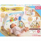 ピープル　うちの赤ちゃん世界一スマート知育ジム＆ウォーカー