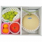 旬を味わうフルーツ詰め合わせ　☆