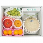 旬を味わうフルーツ詰め合わせ　☆