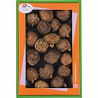 大分産　どんこ椎茸（６０ｇ）　☆