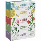 スコッティ　ティシュー　フラワーボックス　２５０組（５箱パック）